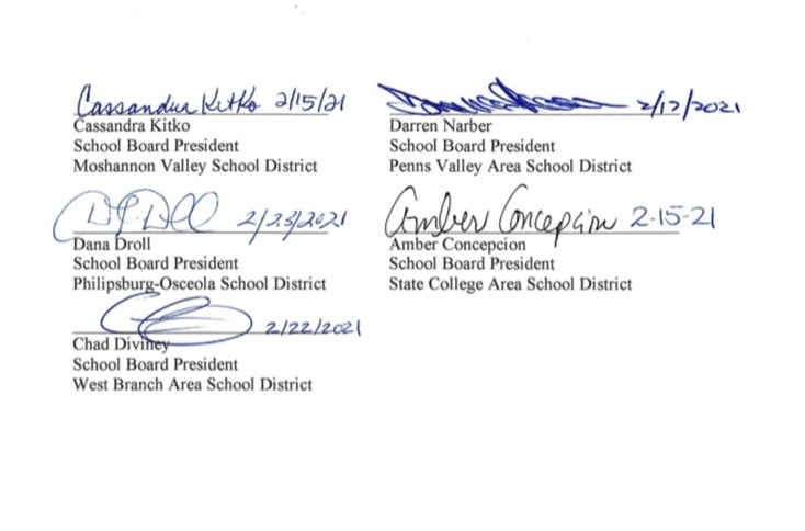 Charter School Resolution BALD EAGLE AREA CYBER ACADEMY